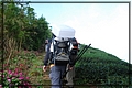 2011-12-18 14-57-58往二尖山途中.JPG